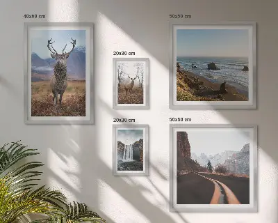 Gallery wall set featuring nature scenes with wild animals and landscapes