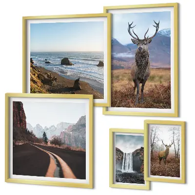 Gallery wall Nature wild animals landscapes
