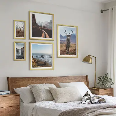 Gallery wall Nature wild animals landscapes
