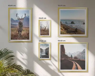 Gallery wall Nature wild animals landscapes