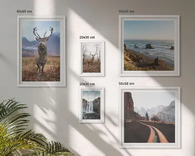 Gallery wall Nature wild animals landscapes