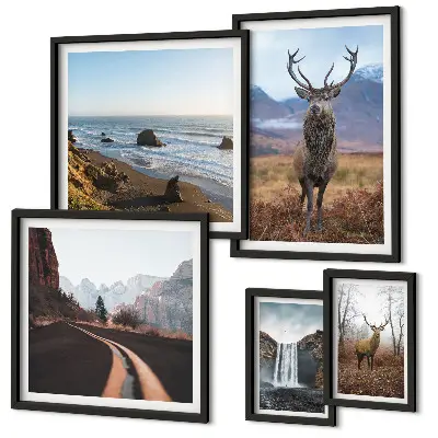 Gallery wall Nature wild animals landscapes