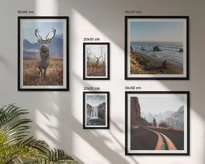 Gallery wall Nature wild animals landscapes