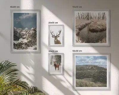 Framed photo set Wild nature majestic mountains