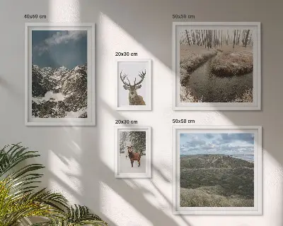 Framed photo set Wild nature majestic mountains