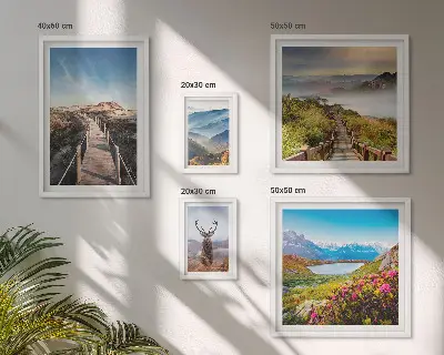 Framed photo set Landscapes of mountains and wild forests