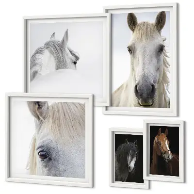 Gallery wall Horse portraits in artistic styles