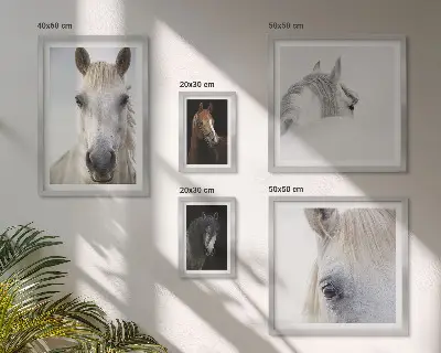 Gallery wall Horse portraits in artistic styles