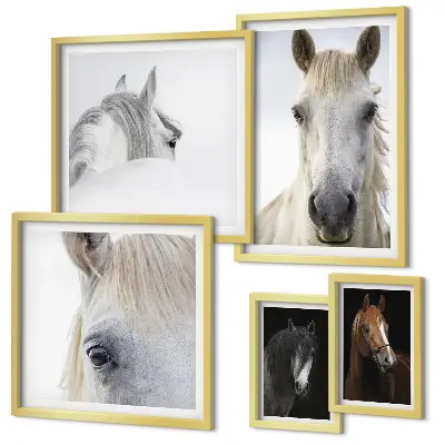Gallery wall Horse portraits in artistic styles
