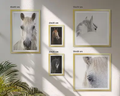 Gallery wall Horse portraits in artistic styles