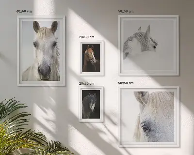 Gallery wall Horse portraits in artistic styles