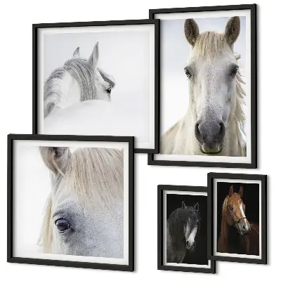 Gallery wall Horse portraits in artistic styles