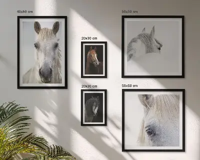 Gallery wall Horse portraits in artistic styles