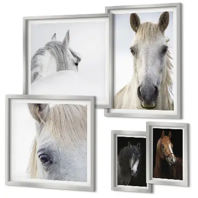 Gallery wall Horse portraits in artistic styles