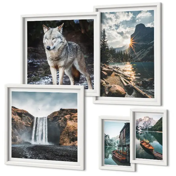 Framed photo set Landscapes of nature wildlife