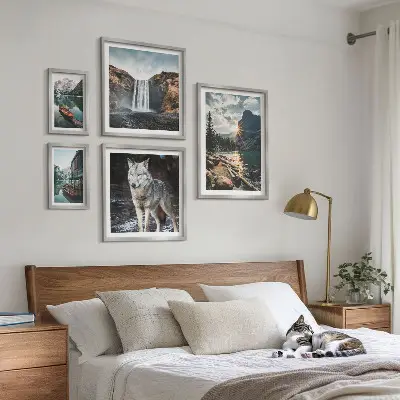 Framed photo set Landscapes of nature wildlife