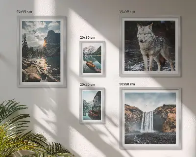 Framed photo set Landscapes of nature wildlife
