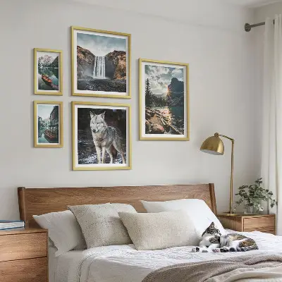 Framed photo set Landscapes of nature wildlife