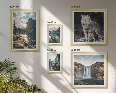 Framed photo set Landscapes of nature wildlife