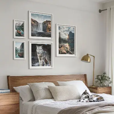 Framed photo set Landscapes of nature wildlife