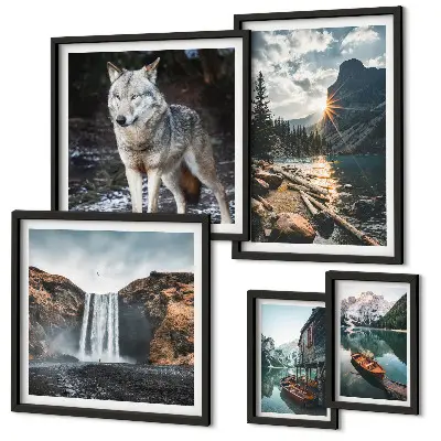 Framed photo set nature and wildlife landscapes