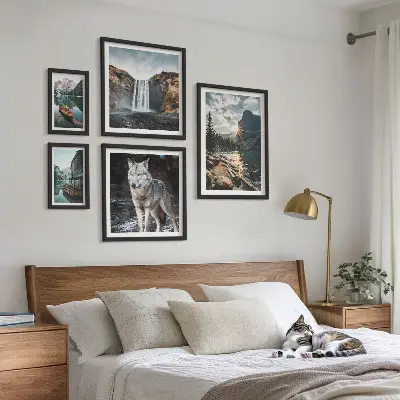 Framed photo set Landscapes of nature wildlife