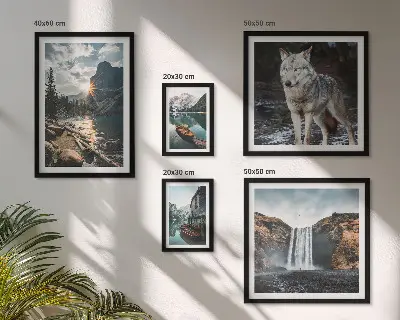 Framed photo set nature and wildlife landscapes