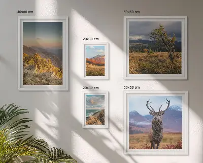 Set of 5 wall art pieces Mountain wildlife landscapes