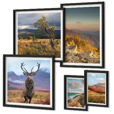 Set of 5 wall art pieces Mountain wildlife landscapes