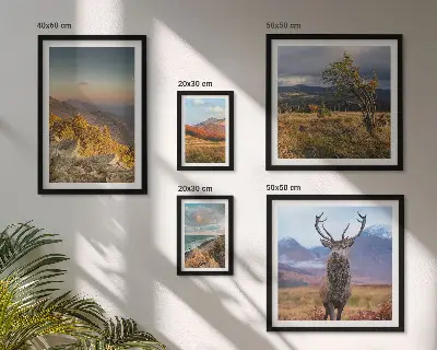 Set of 5 wall art pieces Mountain wildlife landscapes