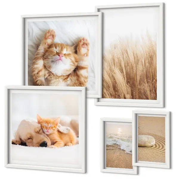Set of 5 wall art pieces Cute animals landscapes