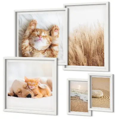 Set of 5 wall art pieces Cute animals landscapes
