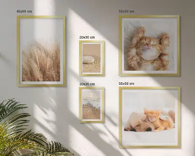 Set of 5 wall art pieces Cute animals landscapes
