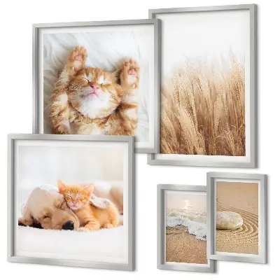 Set of 5 wall art pieces Cute animals landscapes