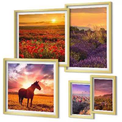 Gallery wall featuring landscapes of nature, horses, and flowers