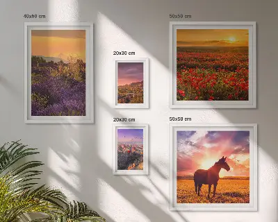Gallery wall Landscapes of nature horses flowers