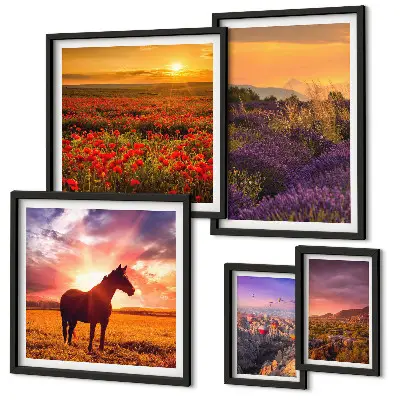 Gallery wall featuring landscapes of nature, horses, and flowers
