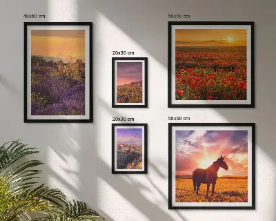 Gallery wall Landscapes of nature horses flowers