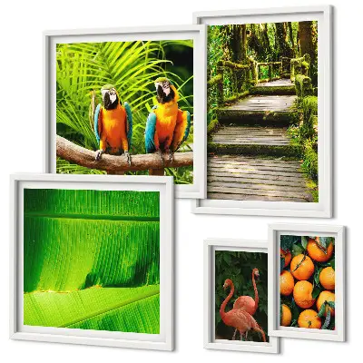 Set of 5 wall art pieces Tropical nature fruit motifs