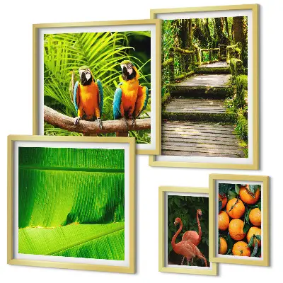 Set of 5 wall art pieces Tropical nature fruit motifs