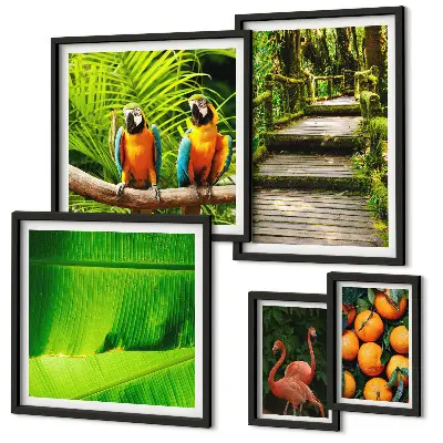 Tropical nature fruit wall art set set of 5 pieces