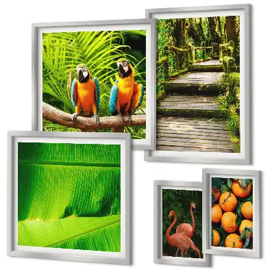 Tropical nature fruit wall art set set of 5 pieces