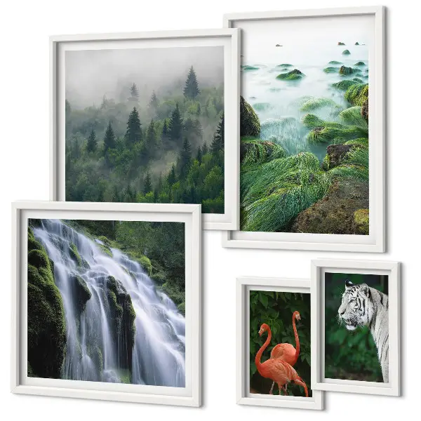 Gallery wall Nature wild animals landscapes