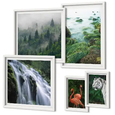 Gallery wall Nature wild animals landscapes