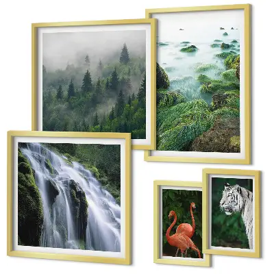 Gallery wall Nature wild animals landscapes
