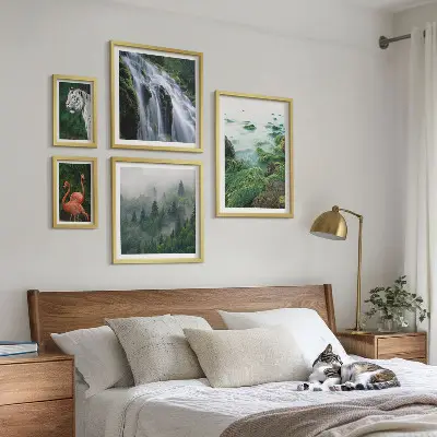 Gallery wall Nature wild animals landscapes