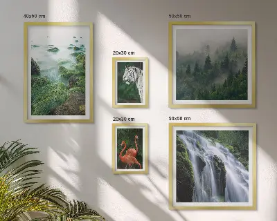 Gallery wall Nature wild animals landscapes