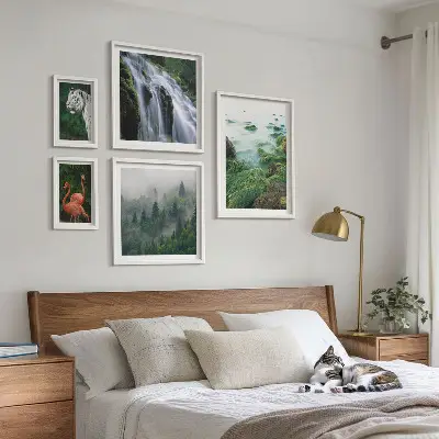 Gallery wall Nature wild animals landscapes