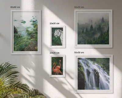Gallery wall Nature wild animals landscapes