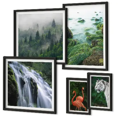 Gallery wall Nature wild animals landscapes